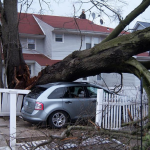 Storm Cleanup